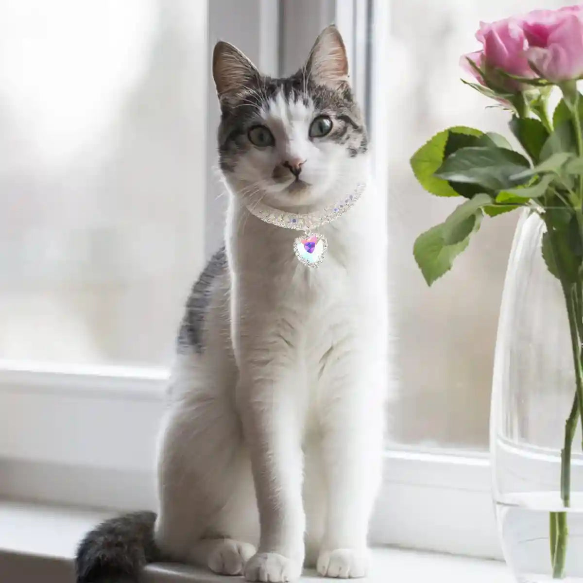 Bling Cat Collar Set With Heart Pendant