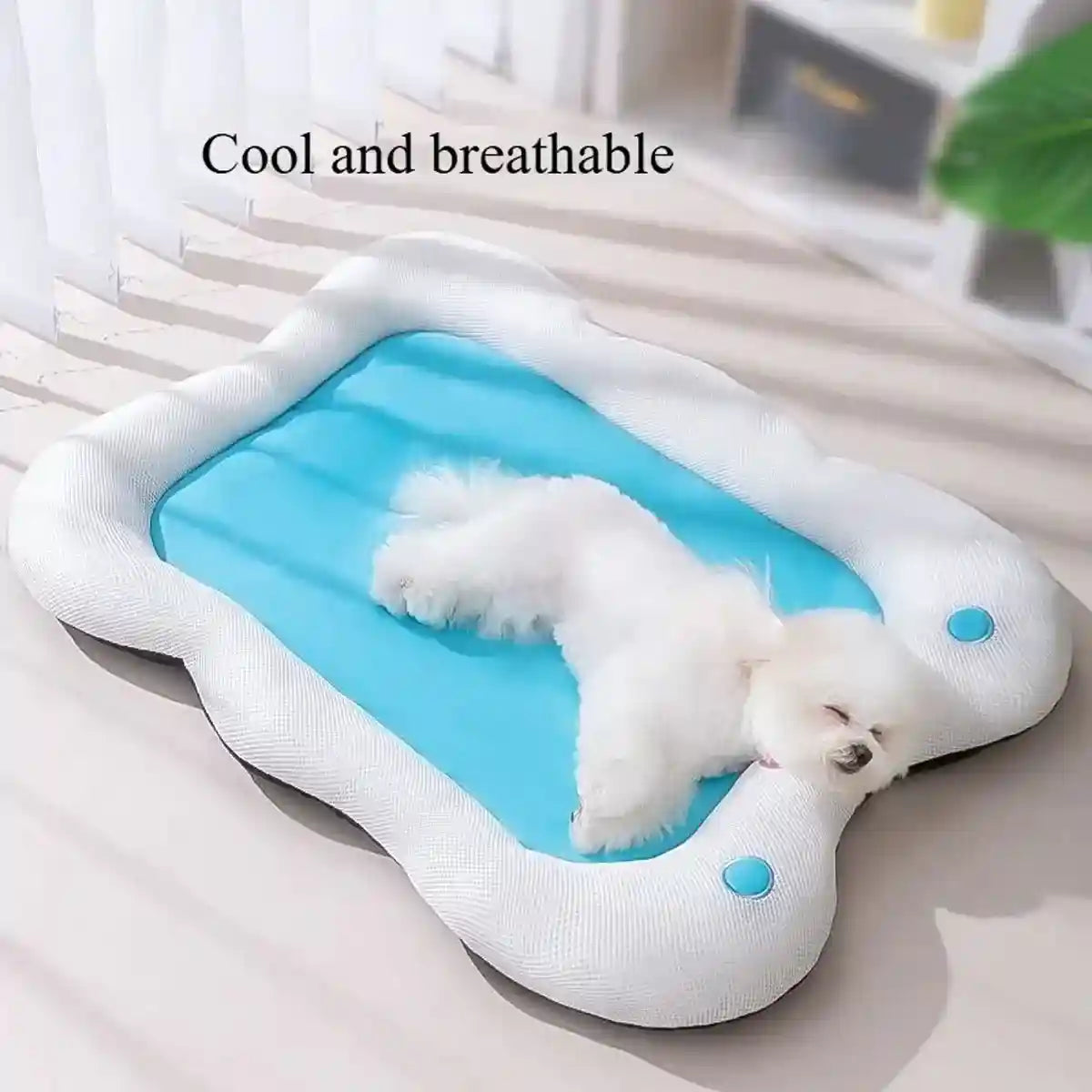 Cooling Dog Bed for Summer Comfort and Neck Support