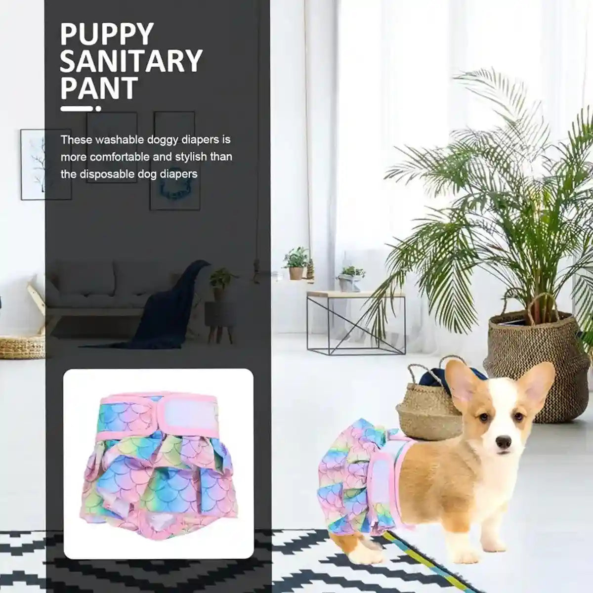 Stylish Washable Dog Diapers Reusable Pet Sanitary Pants