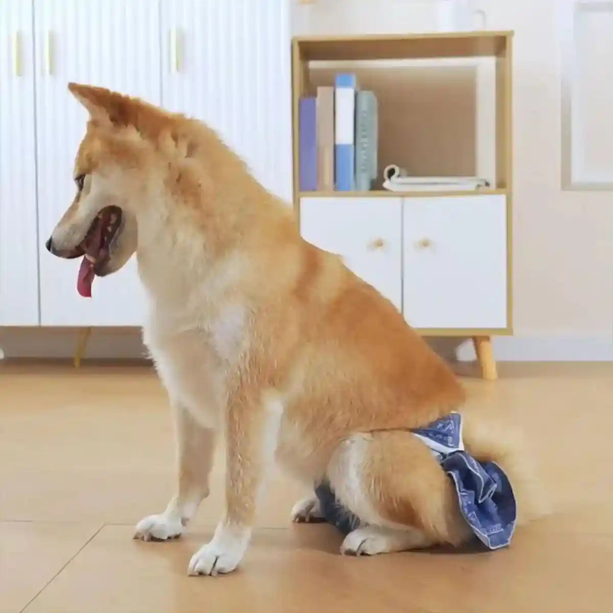 Stylish Washable Dog Diapers Reusable Pet Sanitary Pants