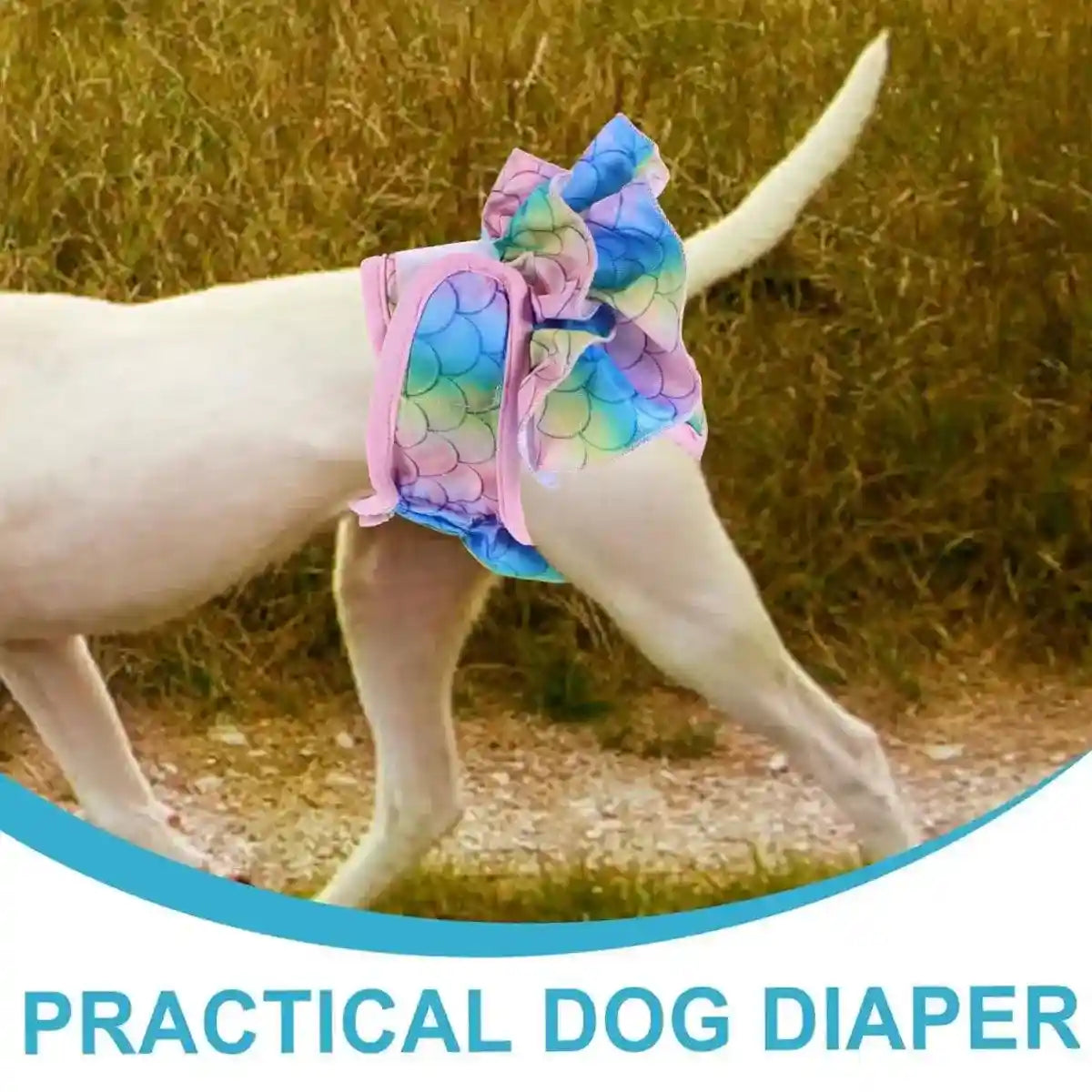 Stylish Washable Dog Diapers Reusable Pet Sanitary Pants