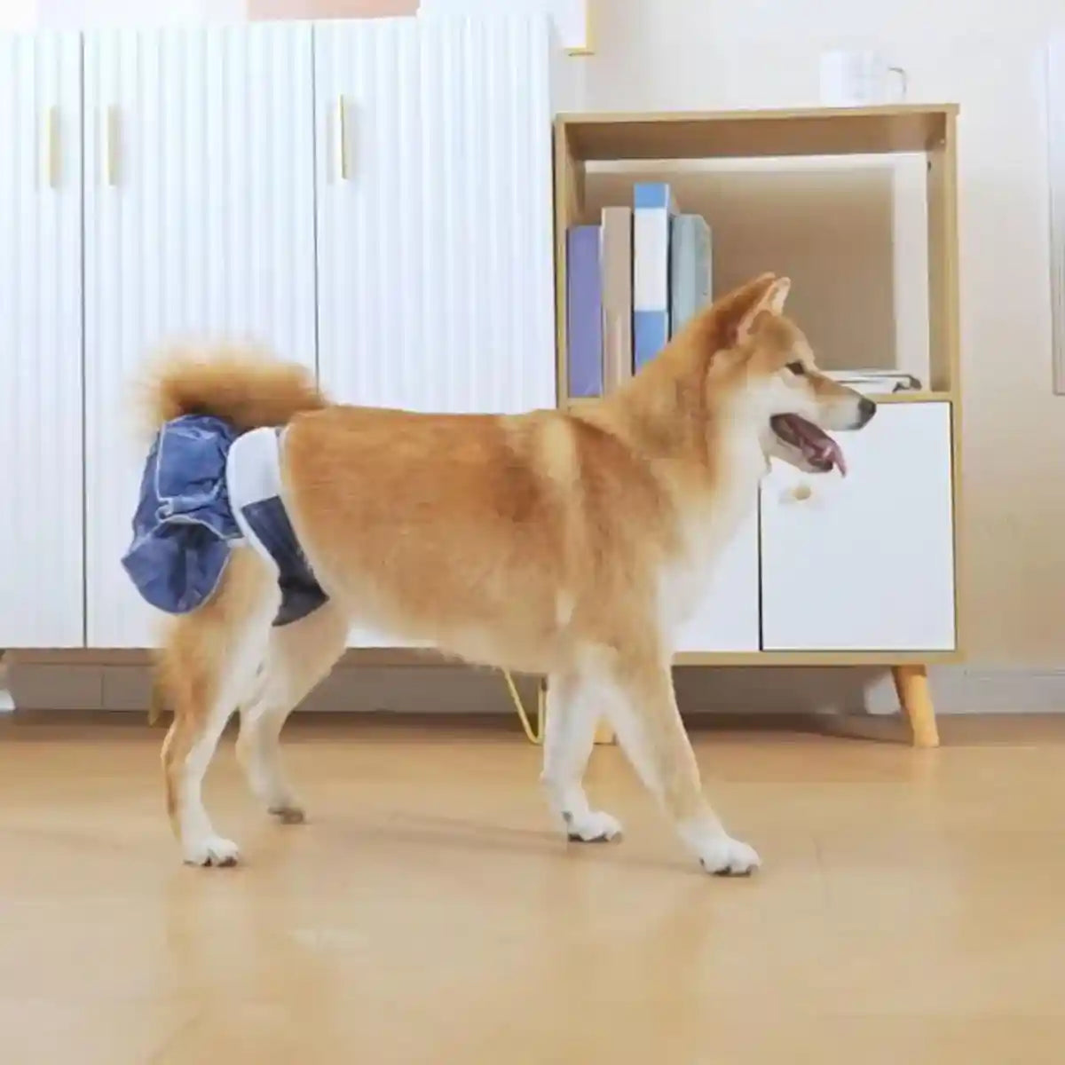 Stylish Washable Dog Diapers Reusable Pet Sanitary Pants