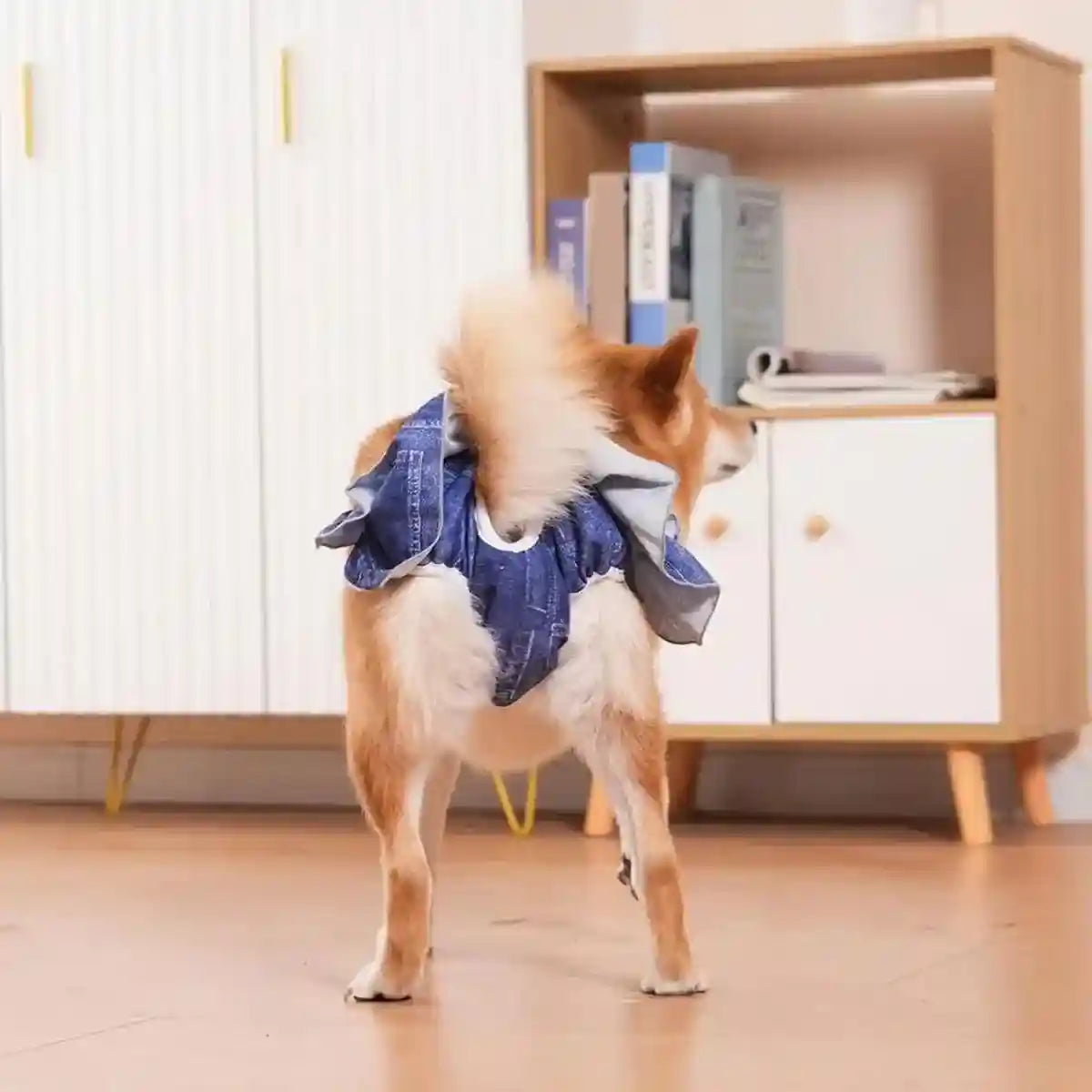 Stylish Washable Dog Diapers Reusable Pet Sanitary Pants