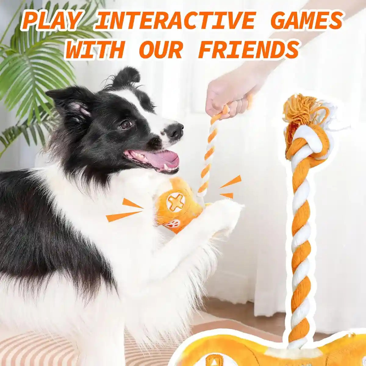 Interactive Dog Plush Toy with Rope and Squeakers