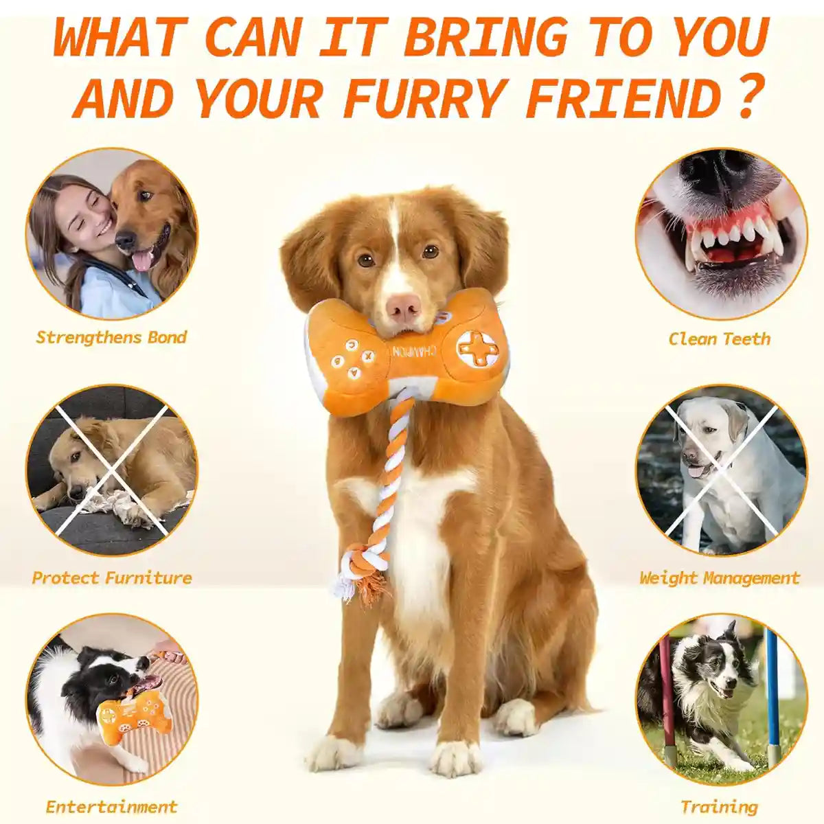 Interactive Dog Plush Toy with Rope and Squeakers