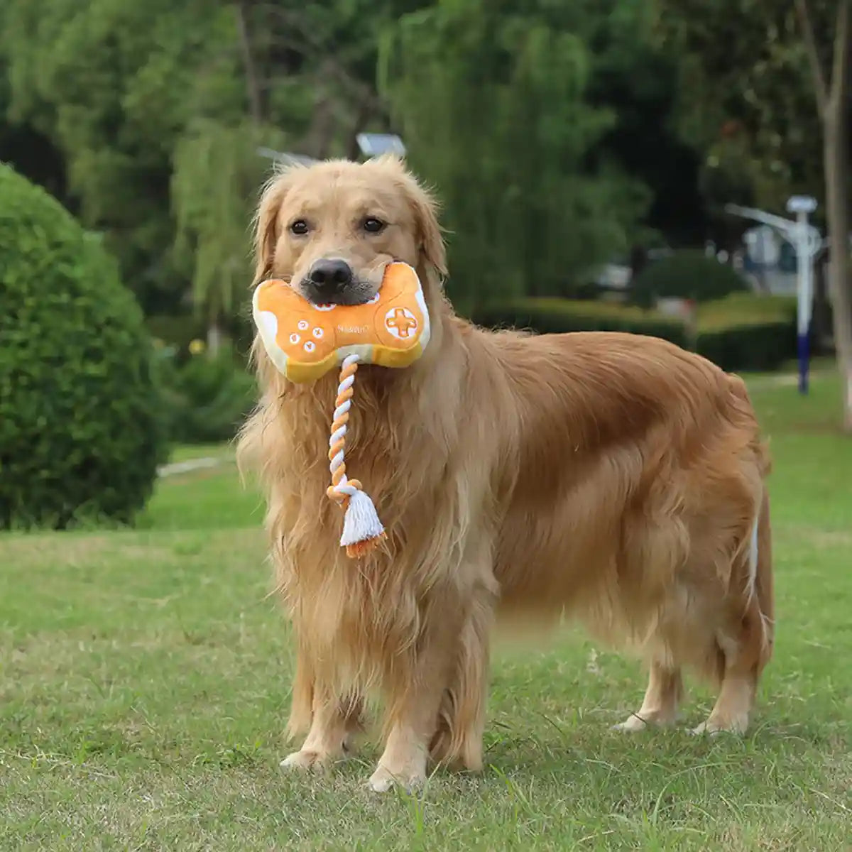Interactive Dog Plush Toy with Rope and Squeakers