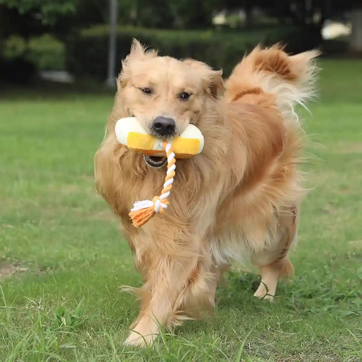 Interactive Dog Plush Toy with Rope and Squeakers