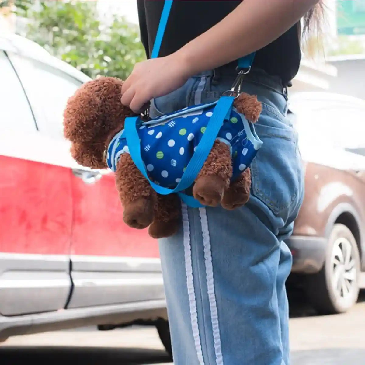 Portable Pet Travel Carrier Backpack for Small Dogs and Cats with Breathable Mesh