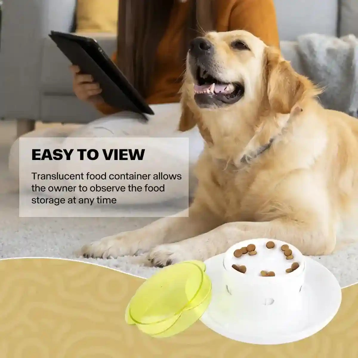 Interactive Pet Food Dispenser for Slow Feeding and Intelligence Training