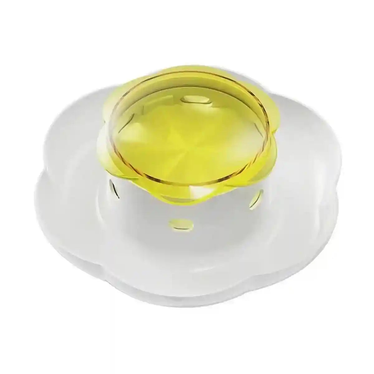 Interactive Pet Food Dispenser for Slow Feeding and Intelligence Training