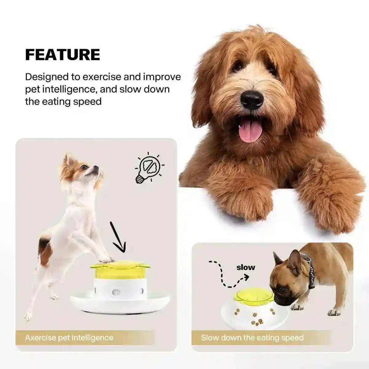 Interactive Pet Food Dispenser for Slow Feeding and Intelligence Training
