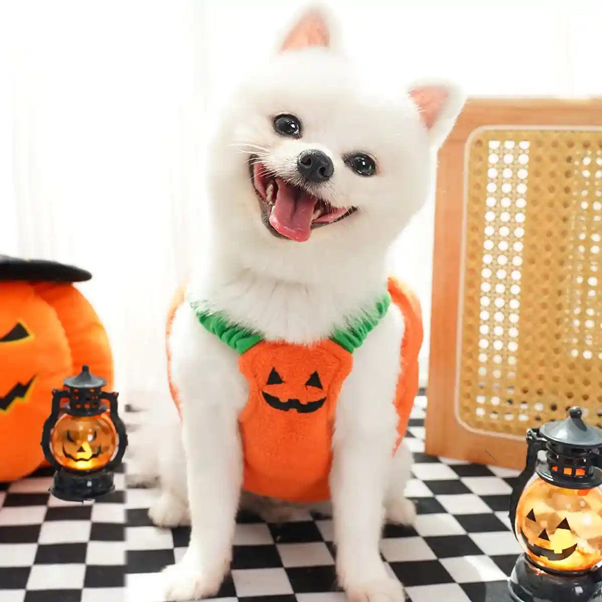 Dog Cat Pet Pumpkin Fancy Dress Outfits Halloween Xmas Cosplay Costume Clothes