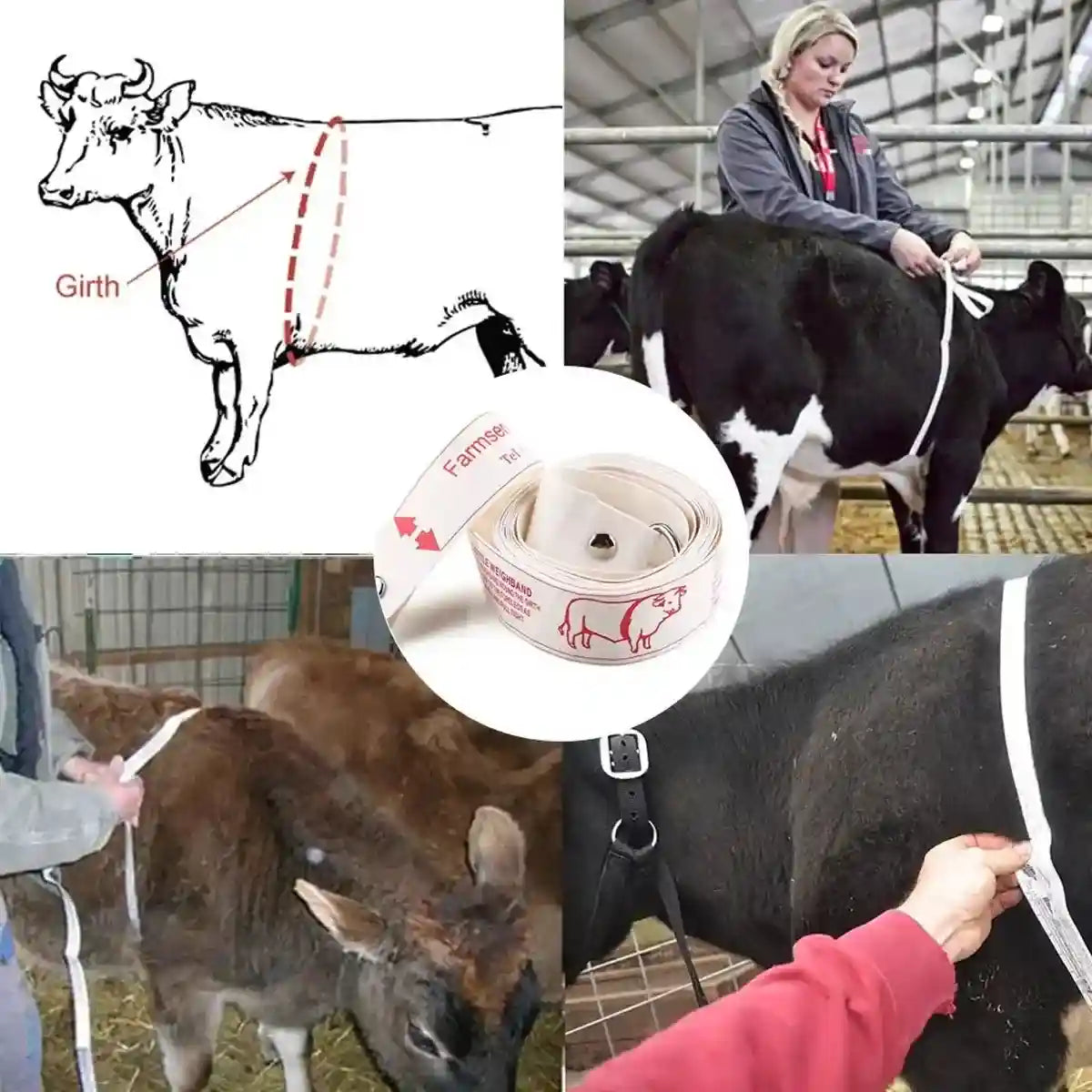 Cattle Weighing Tape for Livestock Dual-Sided Weight Estimator Belt