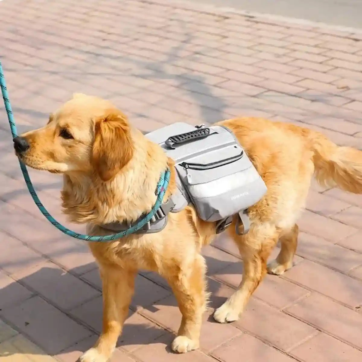 Dog Backpack Harness For Travel and Outdoor