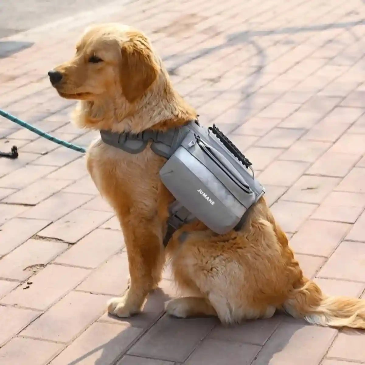 Dog Backpack Harness For Travel and Outdoor