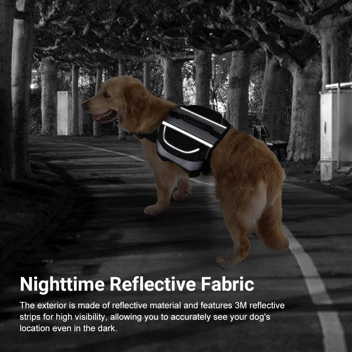 Dog Backpack Harness For Travel and Outdoor