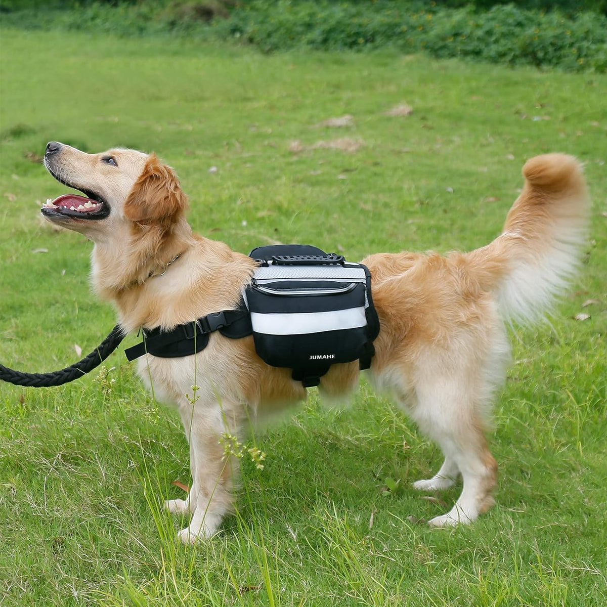 Dog Backpack Harness For Travel and Outdoor