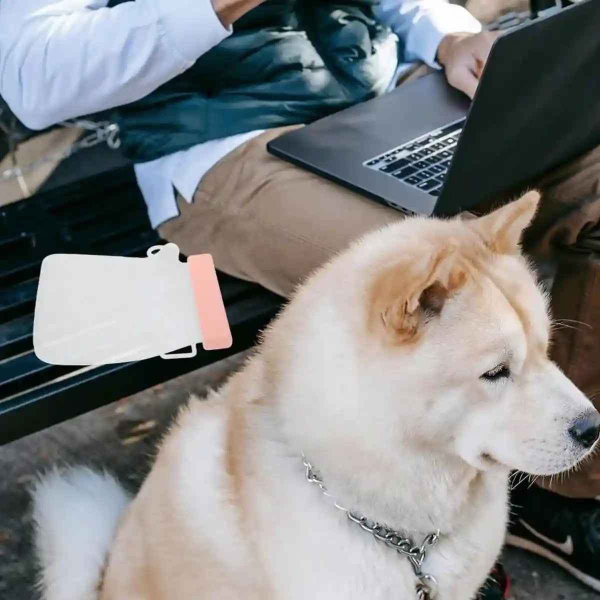 Portable Pet Water Bag 320ml Silicone Travel Bottle for Dogs & Cats