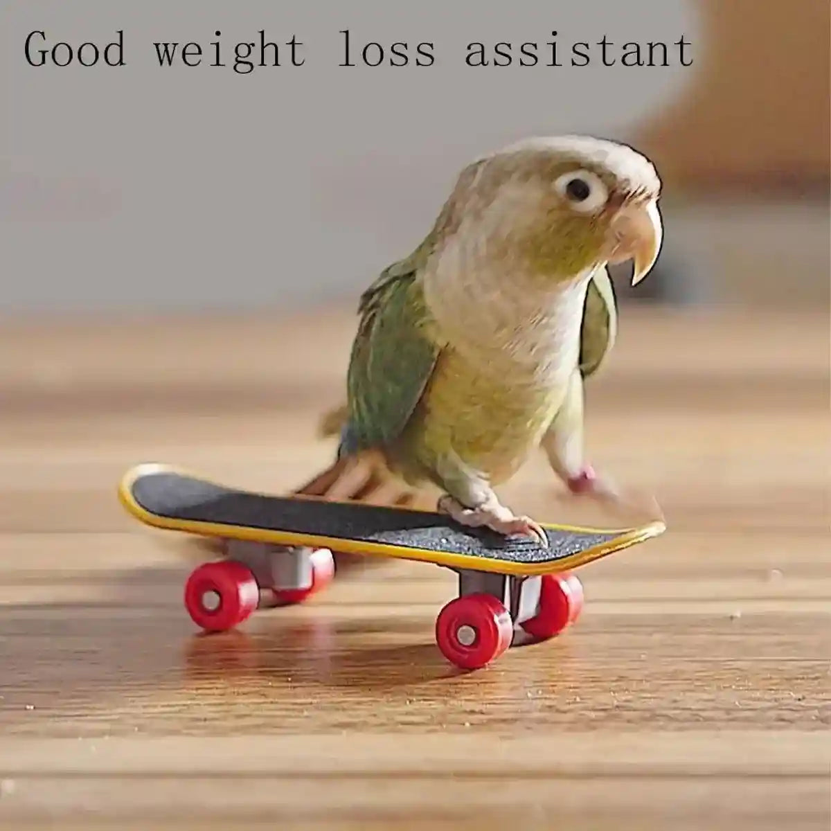2pcs Parrot Finger Skateboards Set Interactive Mini Scooter for Pets