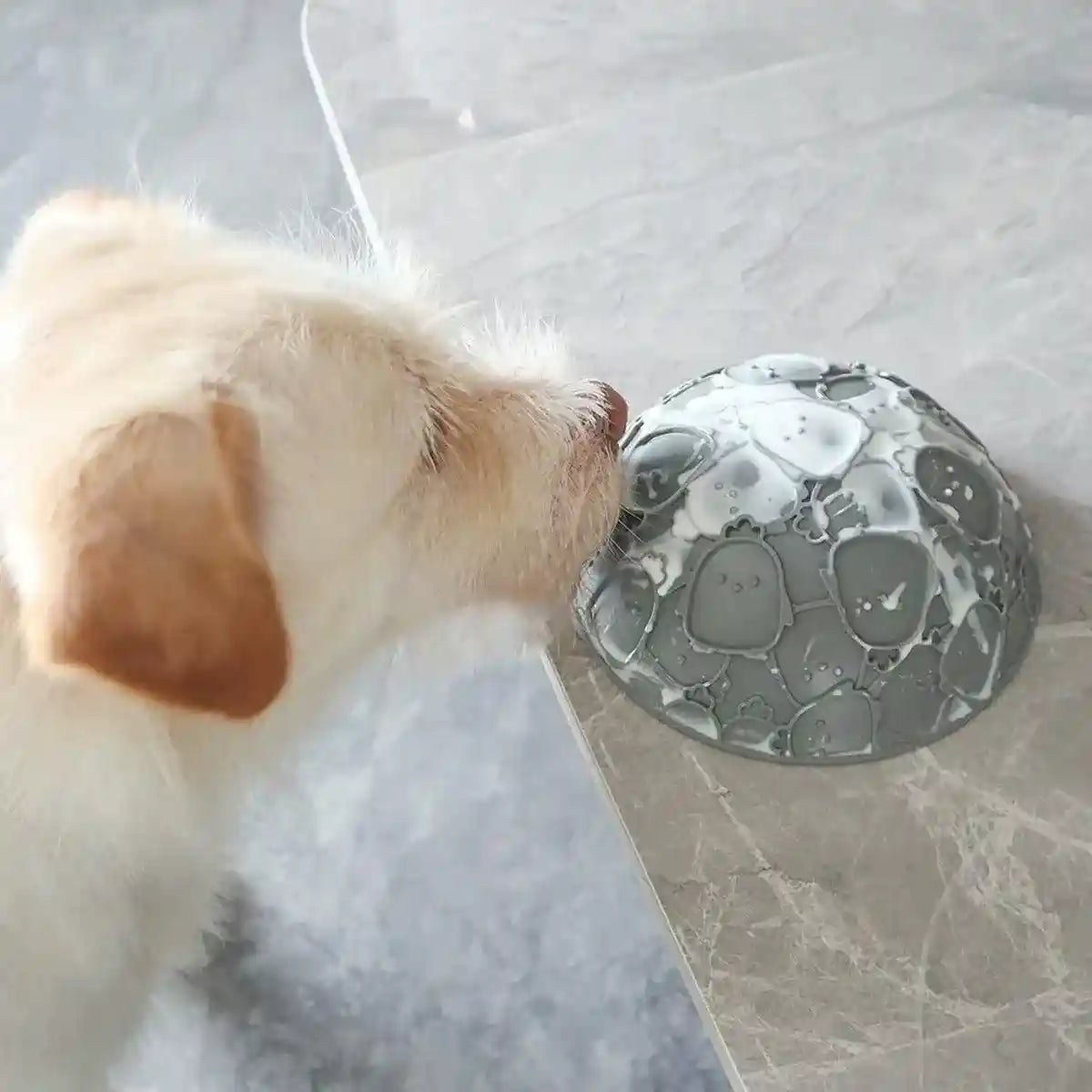 Pet Slow Food Bowl Silicone Double Sided Lick Bowl for Dogs and Cats Eating