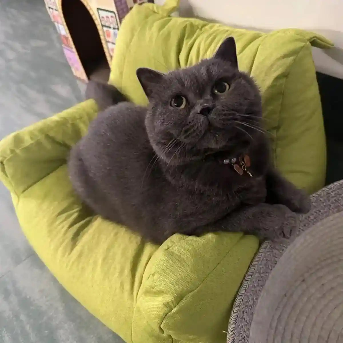 Bear-Shaped Lounge Chair for Pets Cozy and Decorative Pet Sofa