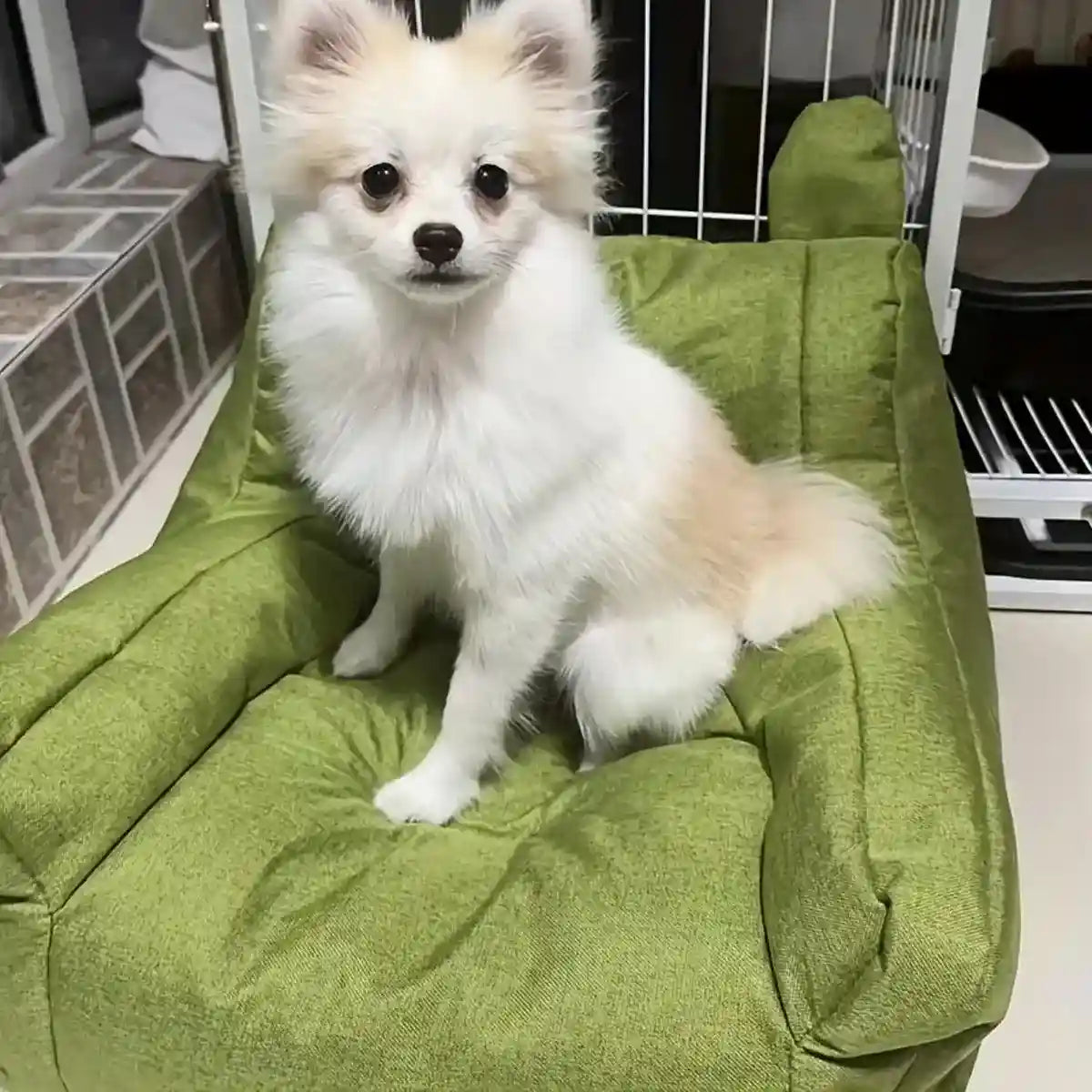 Bear-Shaped Lounge Chair for Pets Cozy and Decorative Pet Sofa