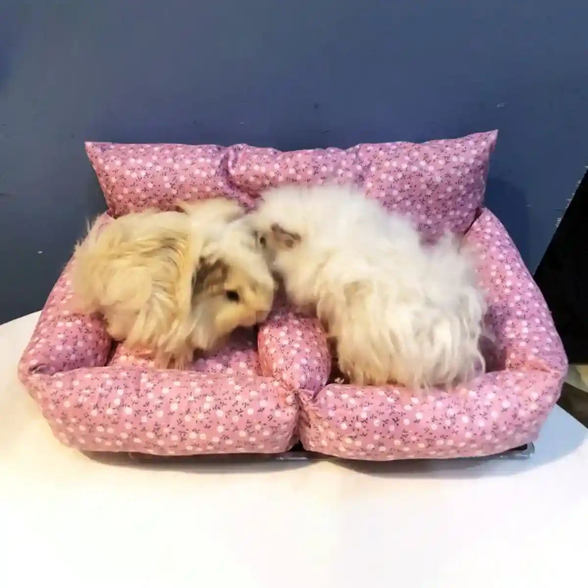 Floral Sofa for Guinea Pigs Cozy Small Pet Bed for Rabbits & Chinchillas