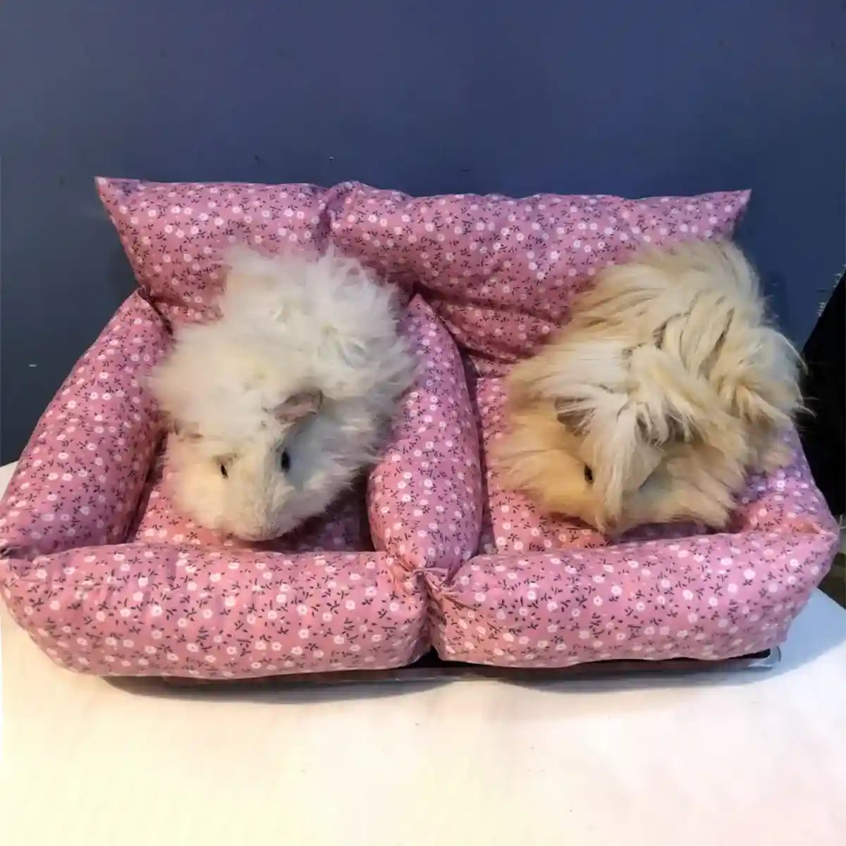 Floral Sofa for Guinea Pigs Cozy Small Pet Bed for Rabbits & Chinchillas