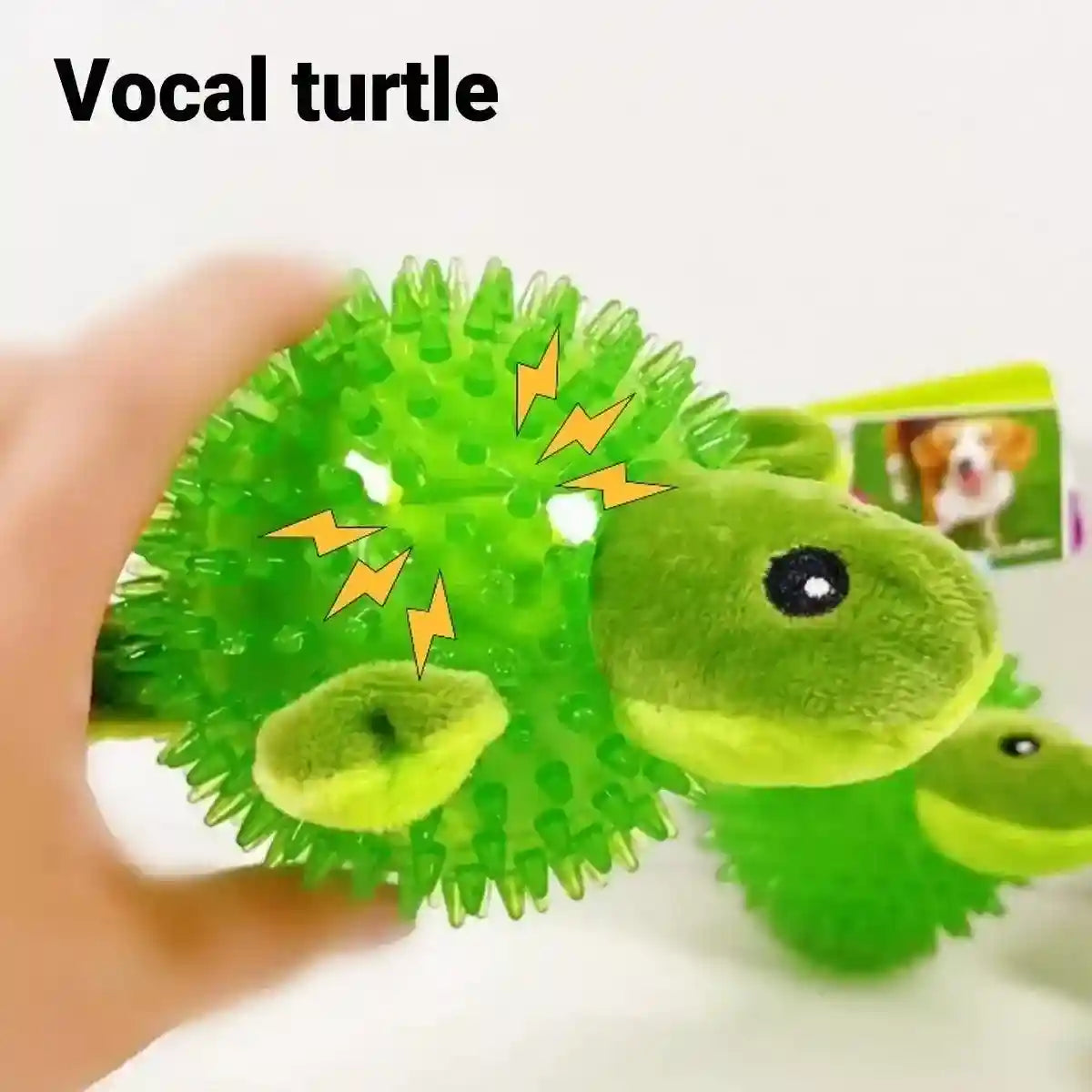 Durable Squeaky Dog Toy Fun Hedgehog & Turtle Chew Toy for Small to Medium Dogs