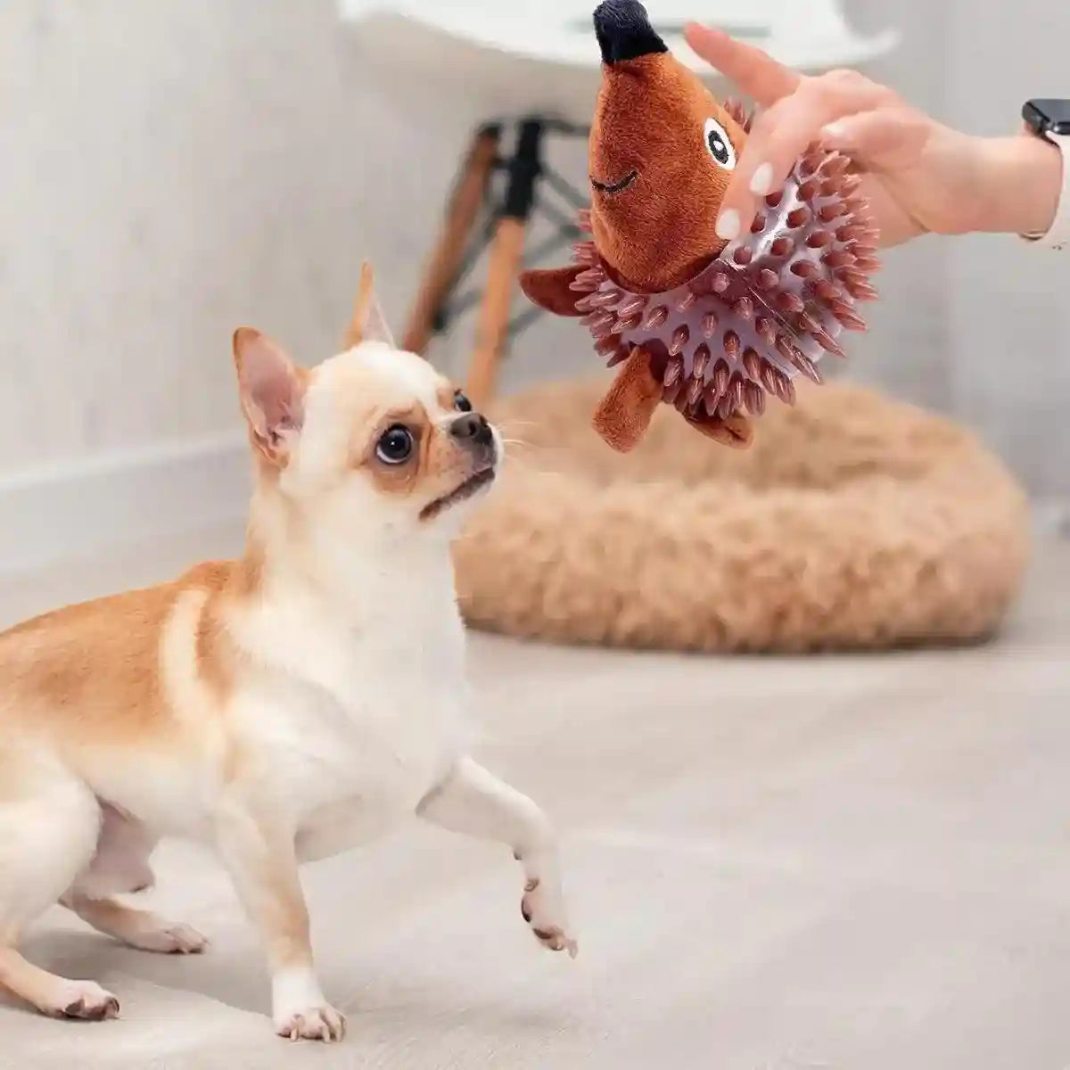 Durable Squeaky Dog Toy Fun Hedgehog & Turtle Chew Toy for Small to Medium Dogs