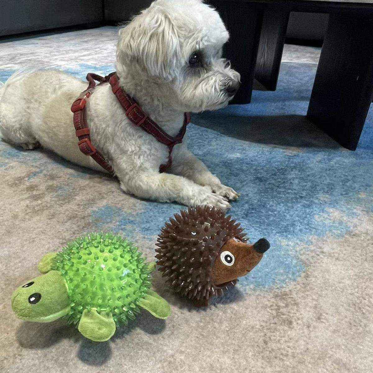 Durable Squeaky Dog Toy Fun Hedgehog & Turtle Chew Toy for Small to Medium Dogs