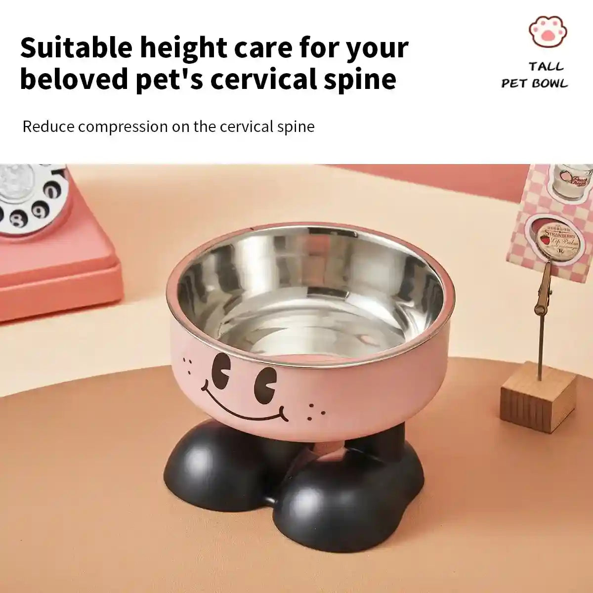 Non-Slip Stainless Steel Pet Bowl with Elevated Base