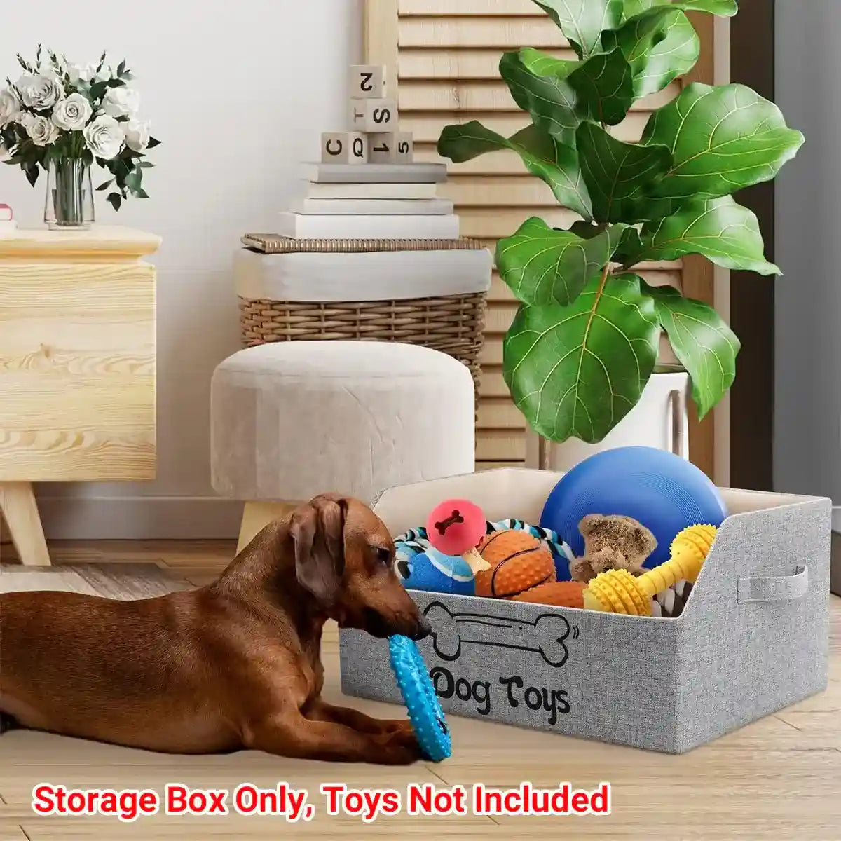 Foldable Pet Toy Storage Box with Handles for Cats & Dogs