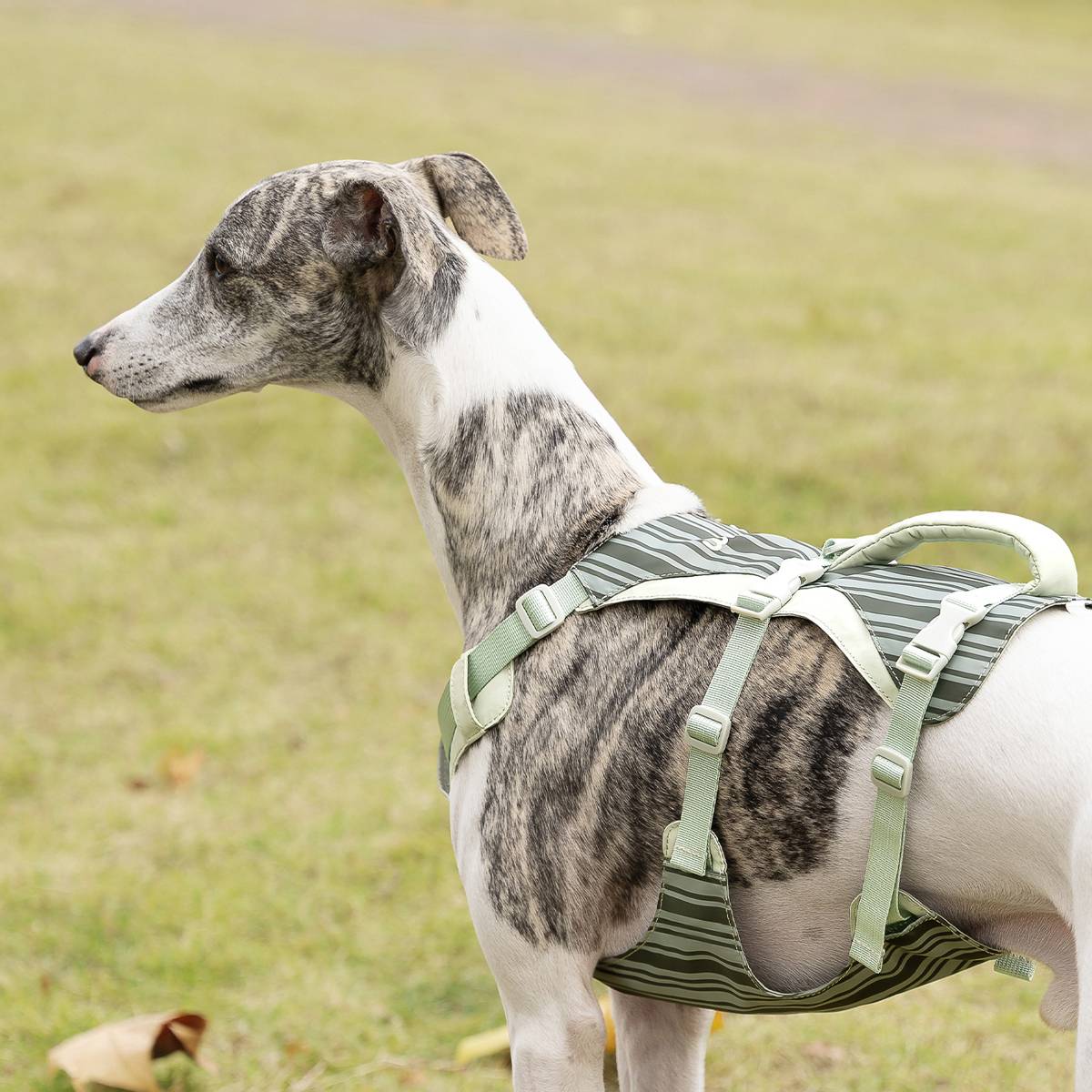 Reflective Tactical Dog Harness Set With Leash And Handle