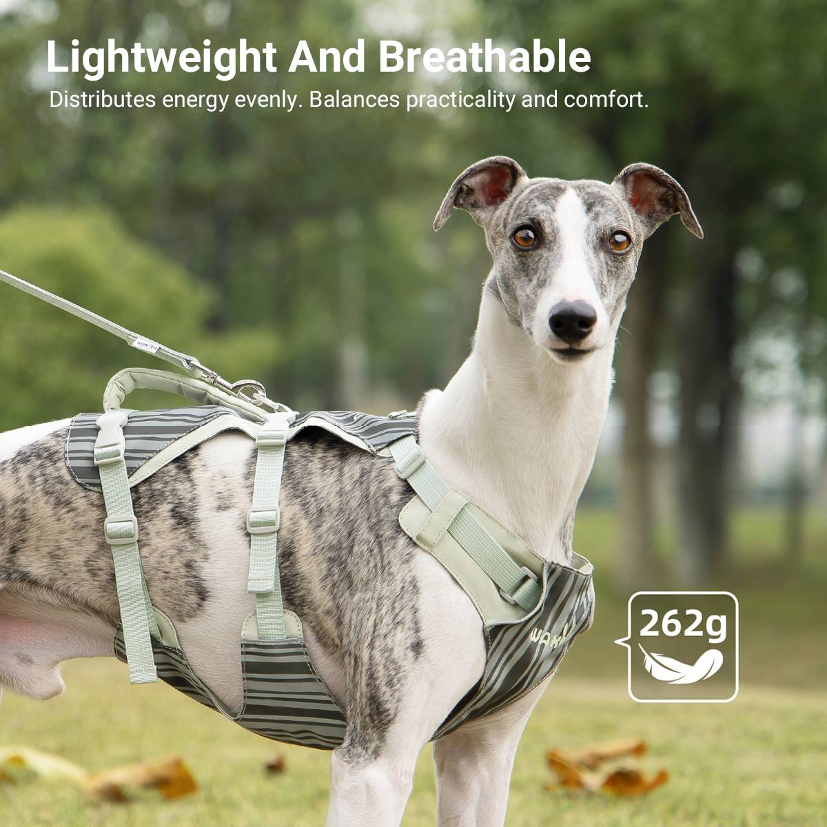 Reflective Tactical Dog Harness Set With Leash And Handle