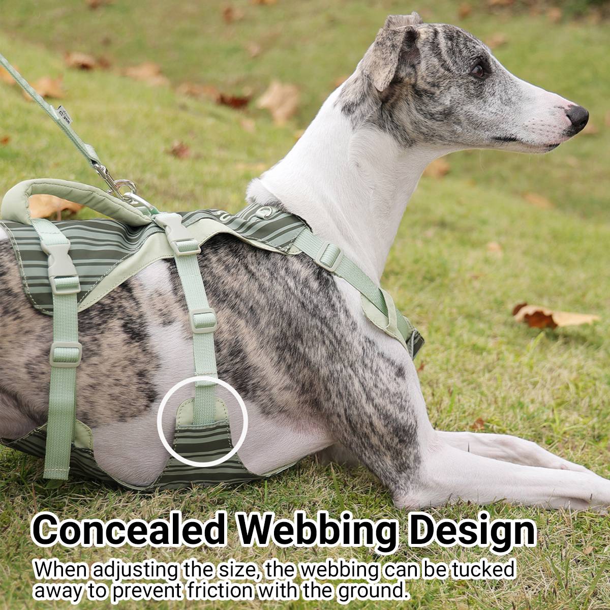 Reflective Tactical Dog Harness Set With Leash And Handle