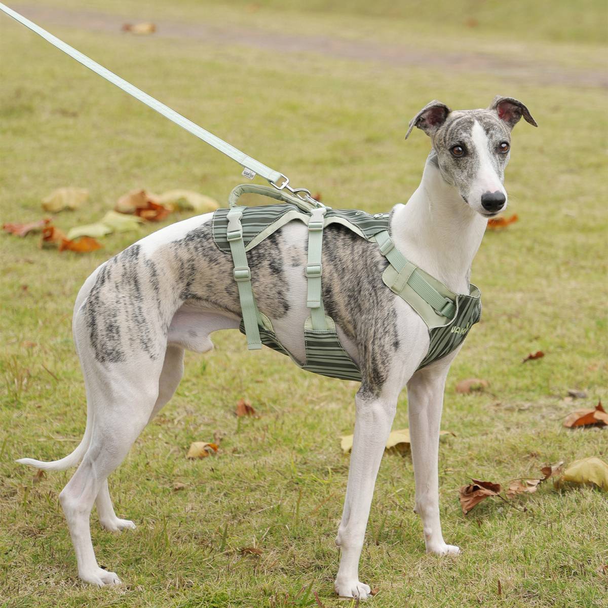 Reflective Tactical Dog Harness Set With Leash And Handle