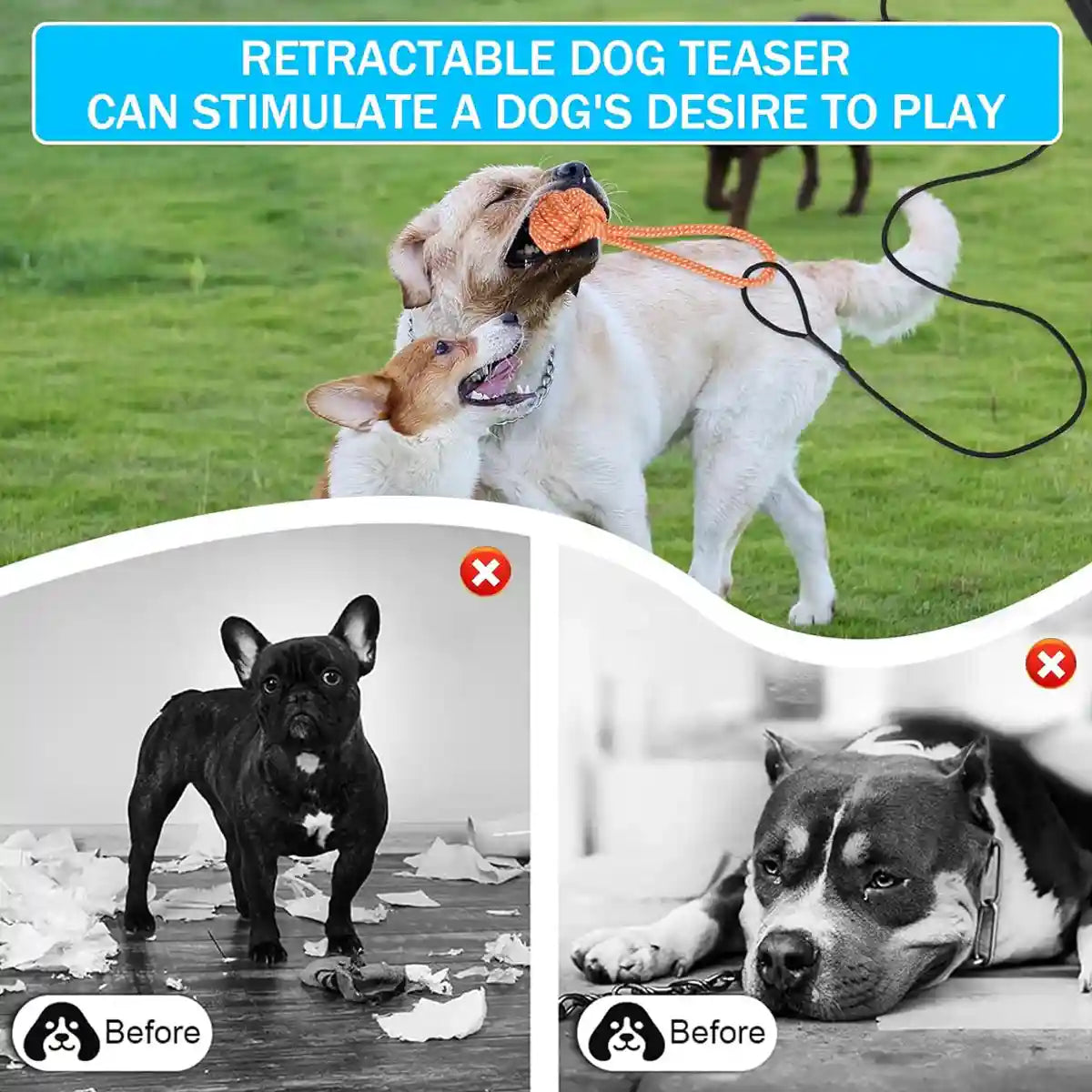Telescopic Dog Teaser Stick with Chew Toys for Large Breed Training