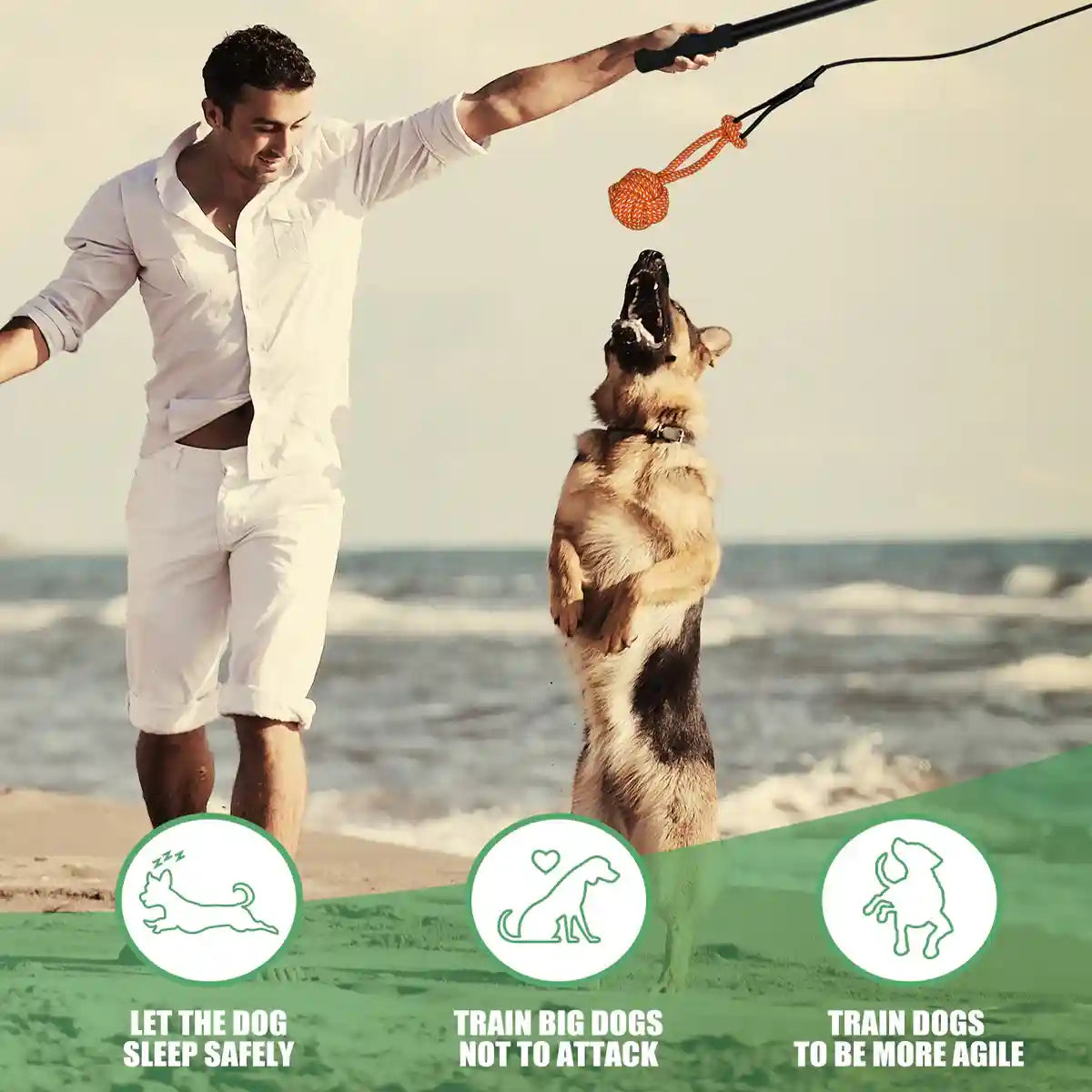 Telescopic Dog Teaser Stick with Chew Toys for Large Breed Training