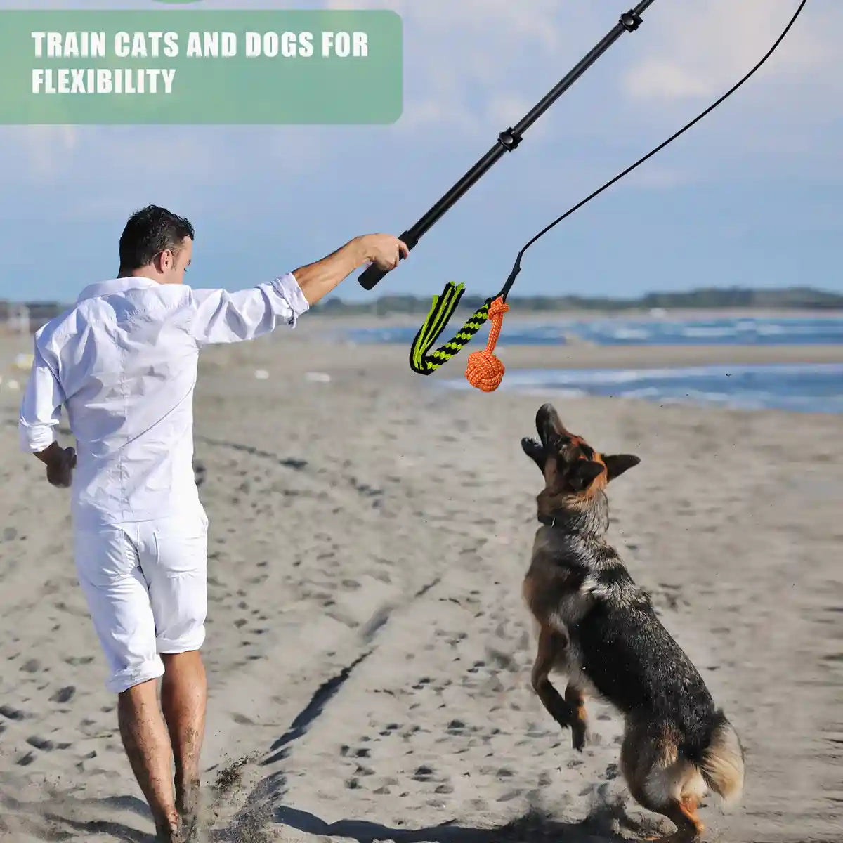 Telescopic Dog Teaser Stick with Chew Toys for Large Breed Training
