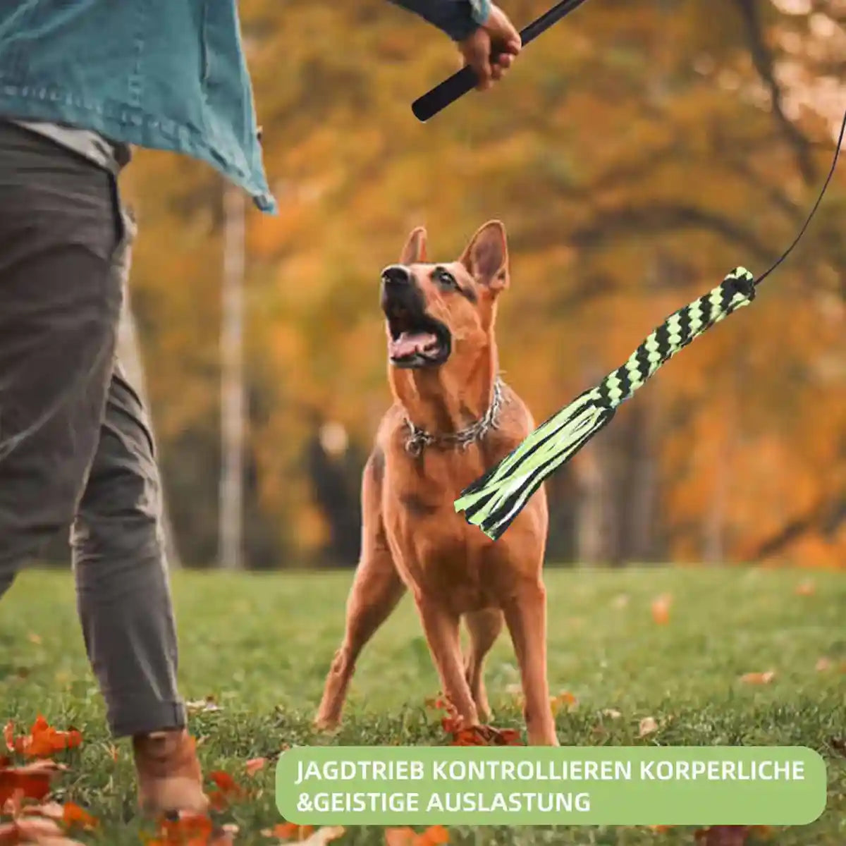 Telescopic Dog Teaser Stick with Chew Toys for Large Breed Training