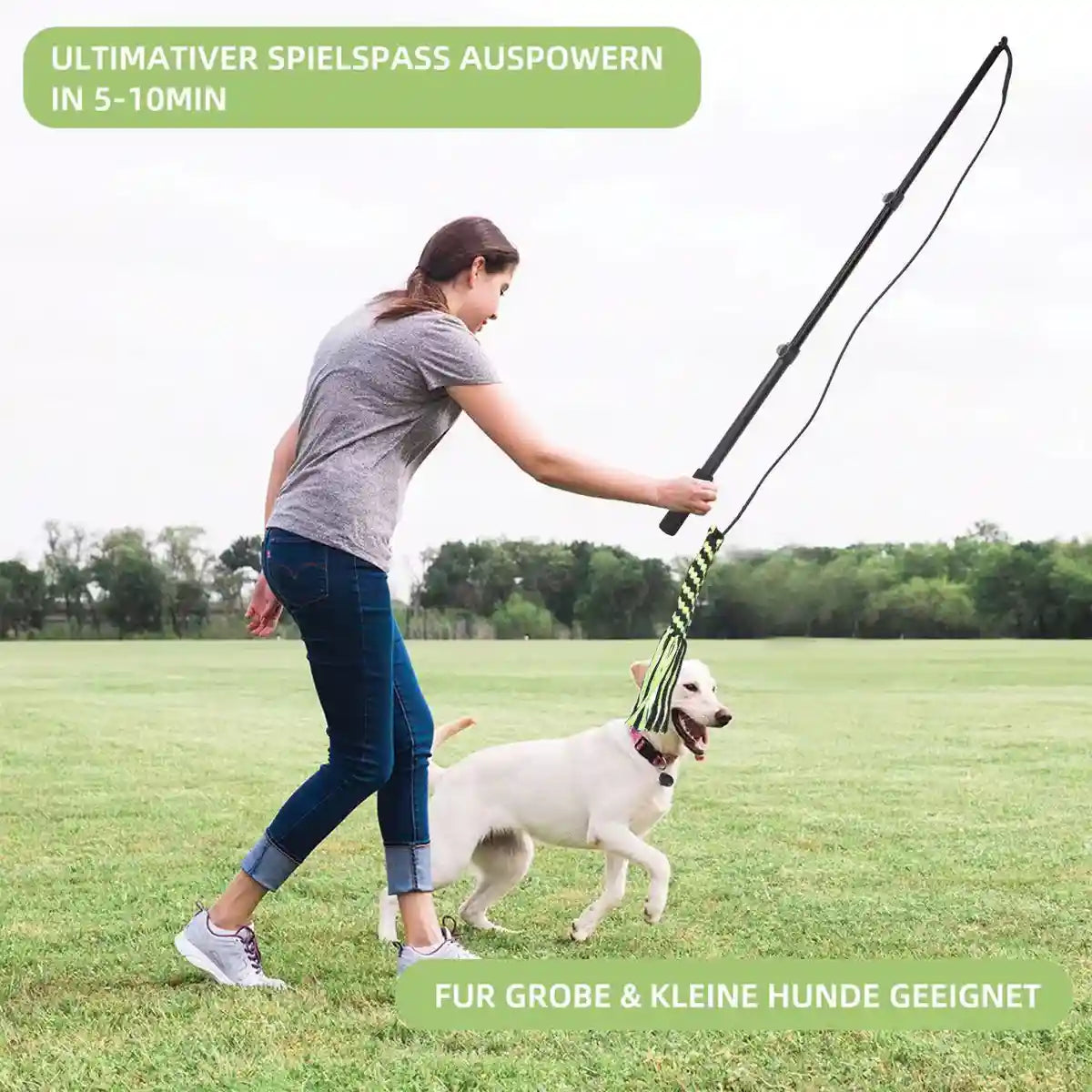 Telescopic Dog Teaser Stick with Chew Toys for Large Breed Training