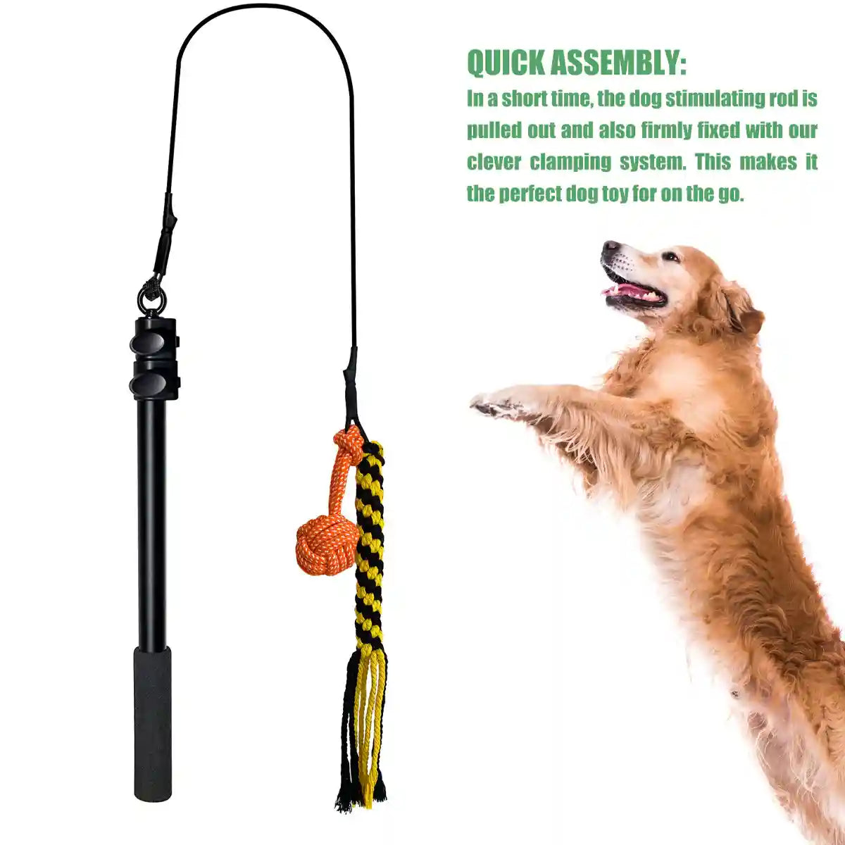 Telescopic Dog Teaser Stick with Chew Toys for Large Breed Training