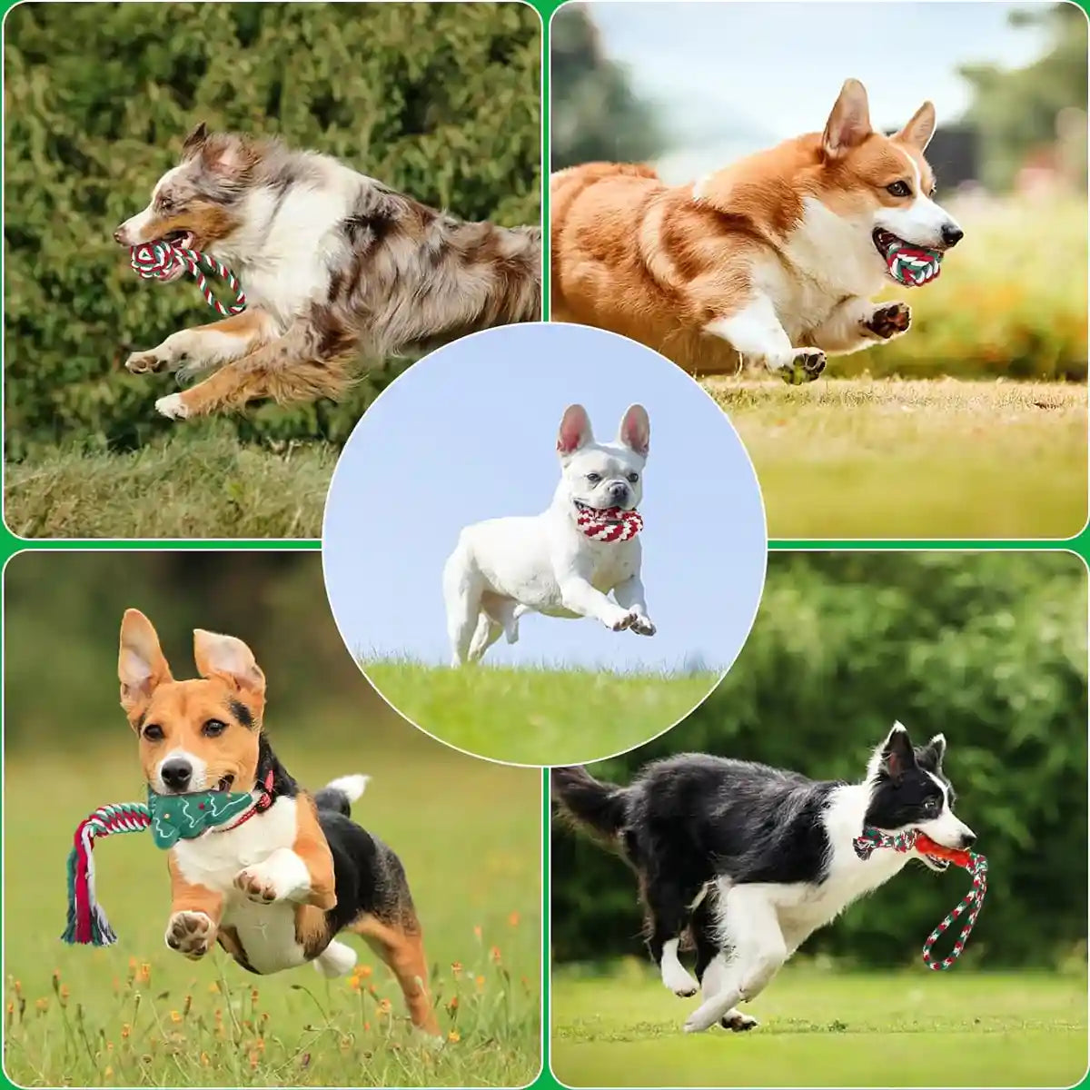 Christmas Dog Toy Set 8pcs Cotton Rope Chew & Play Toys