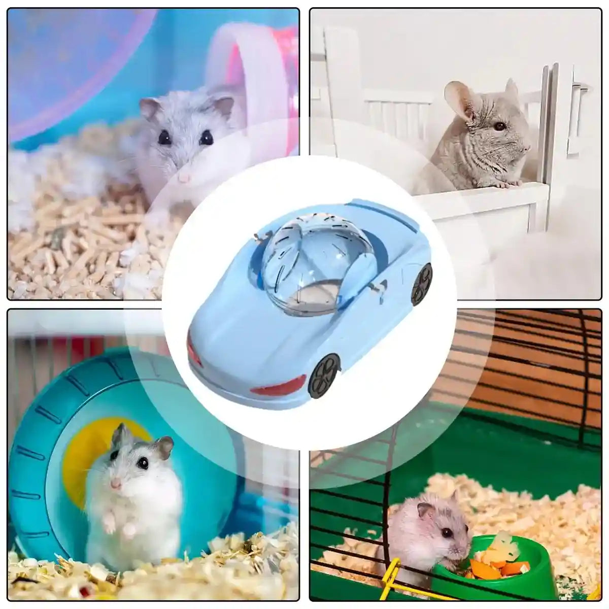 Interactive Hamster Toy Car with Detachable Running Ball 3-in-1 Play