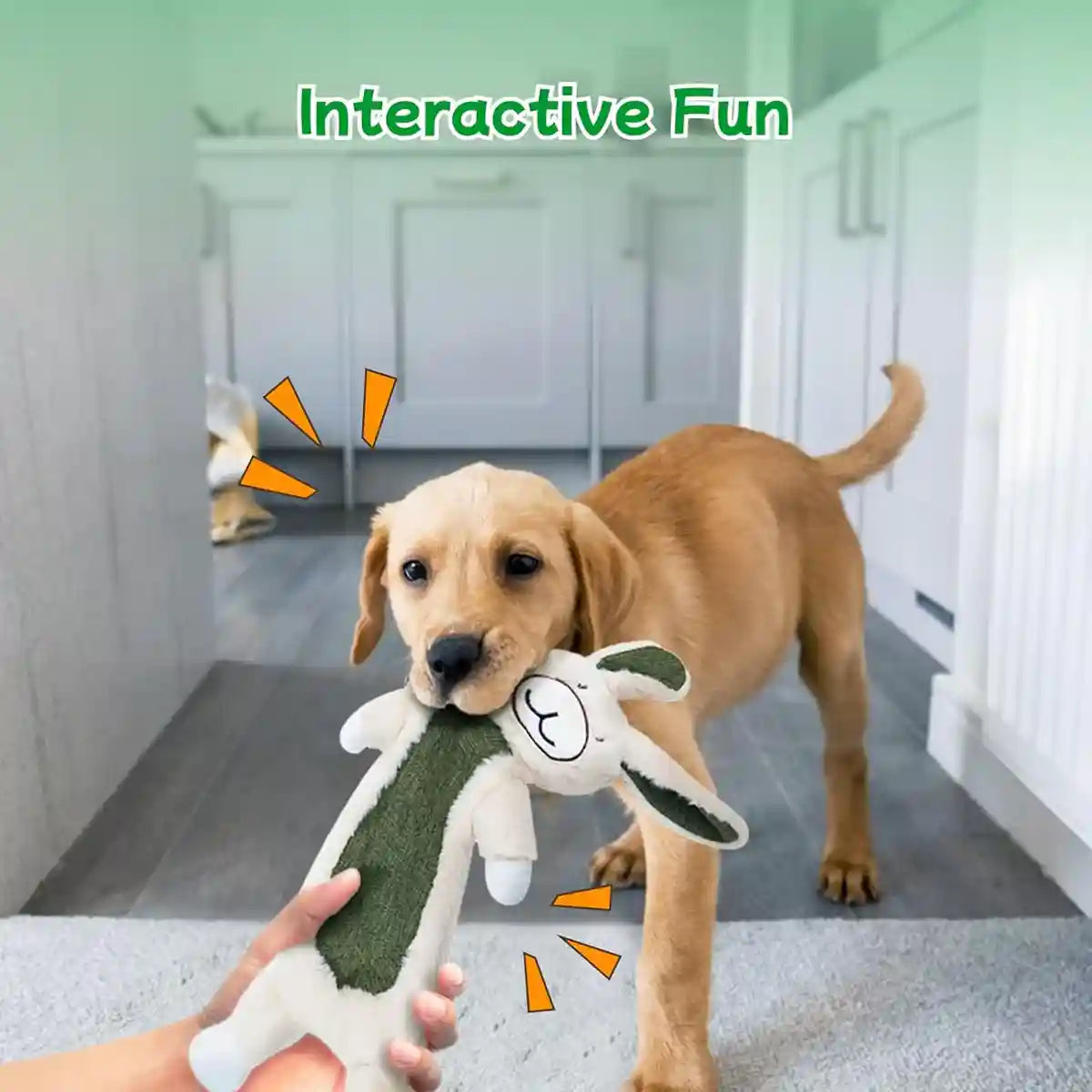 Plush No Stuffing Squeaky Dog Toy with Crinkle Paper