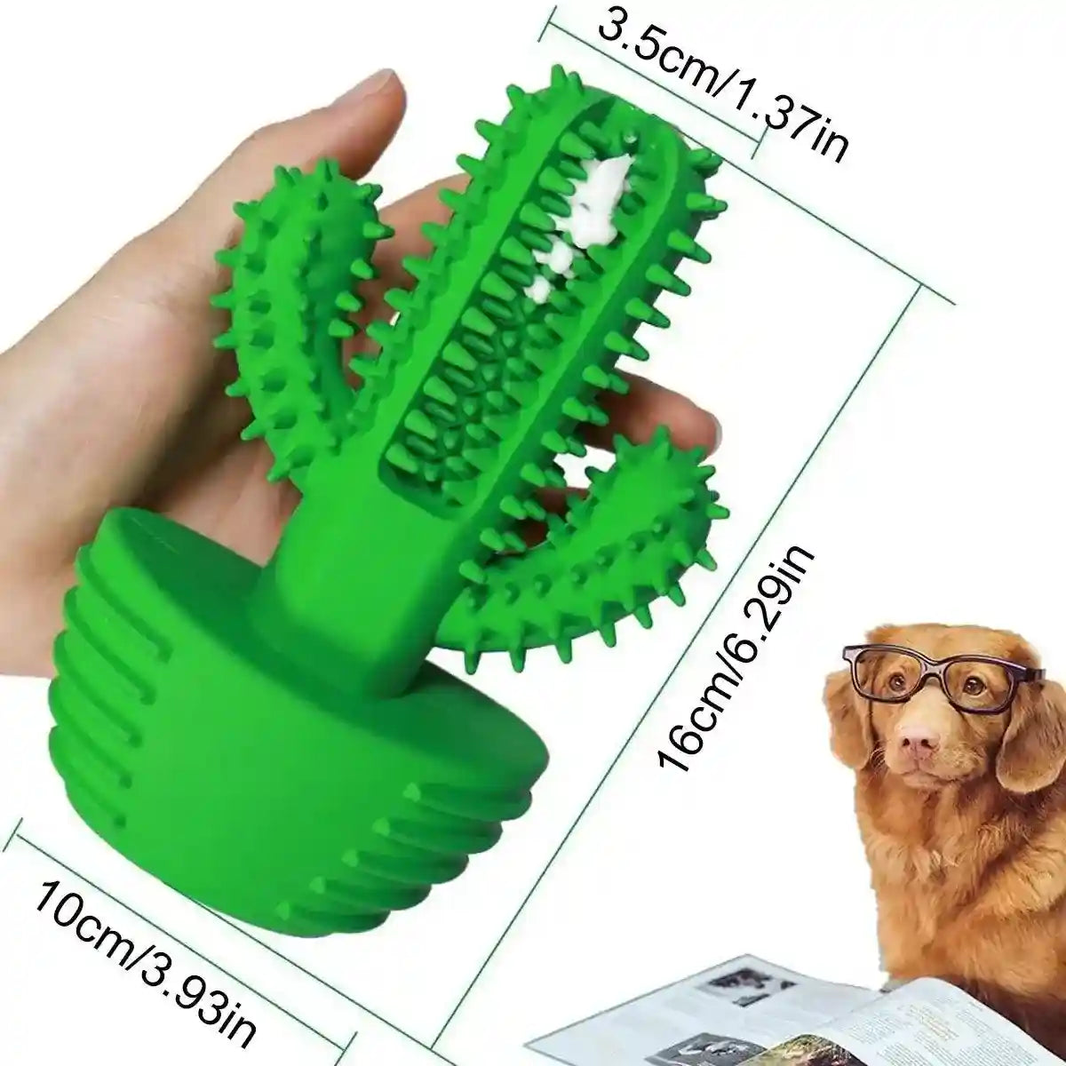 Cactus Shape Dog Chew Toy for Teeth Cleaning and Anxiety Relief
