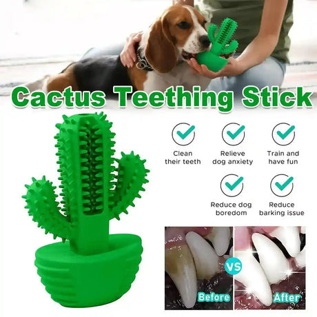 Green cactus-shaped dog chew toy made of natural rubber, ideal for dental care and anxiety relief.