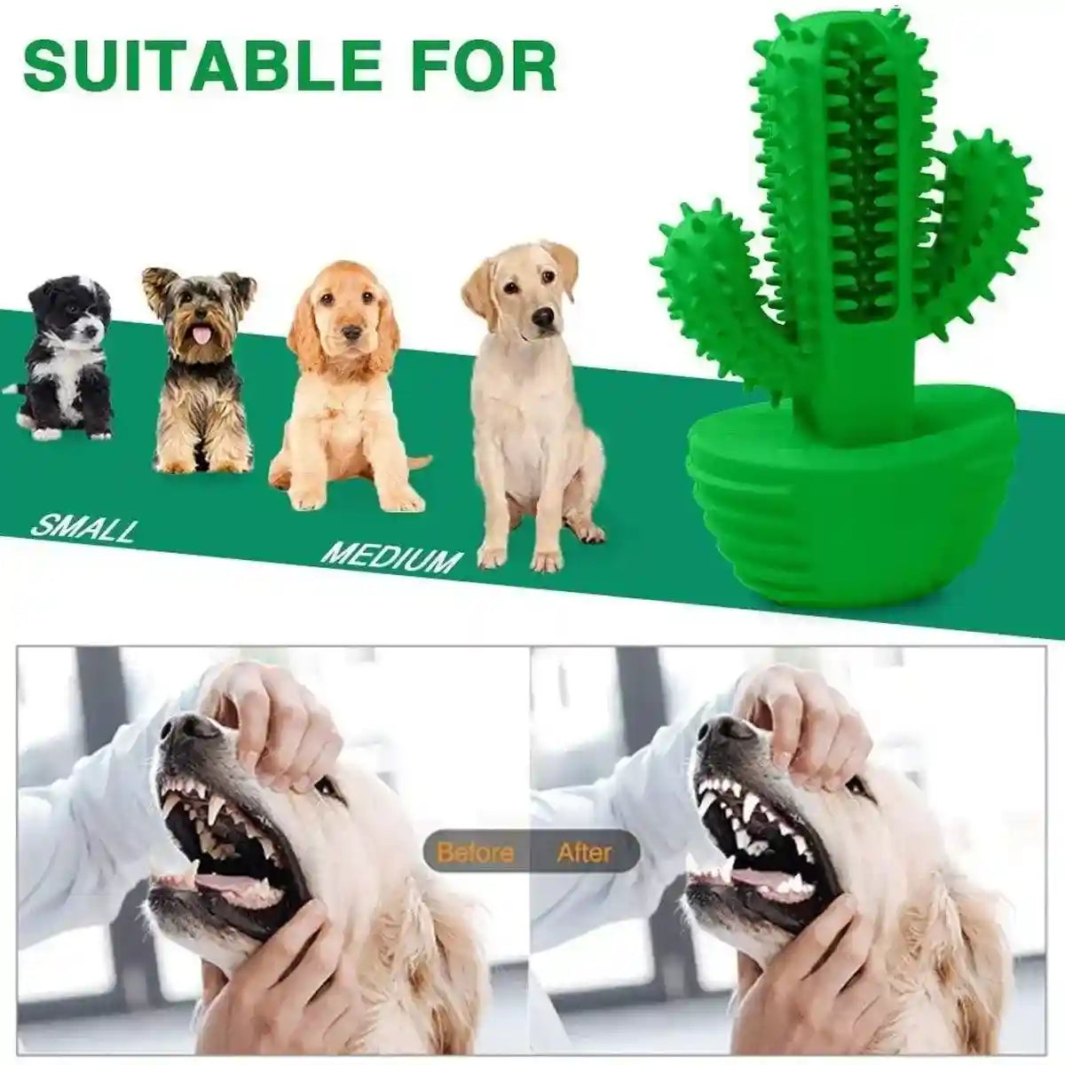 Cactus Shape Dog Chew Toy for Teeth Cleaning and Anxiety Relief