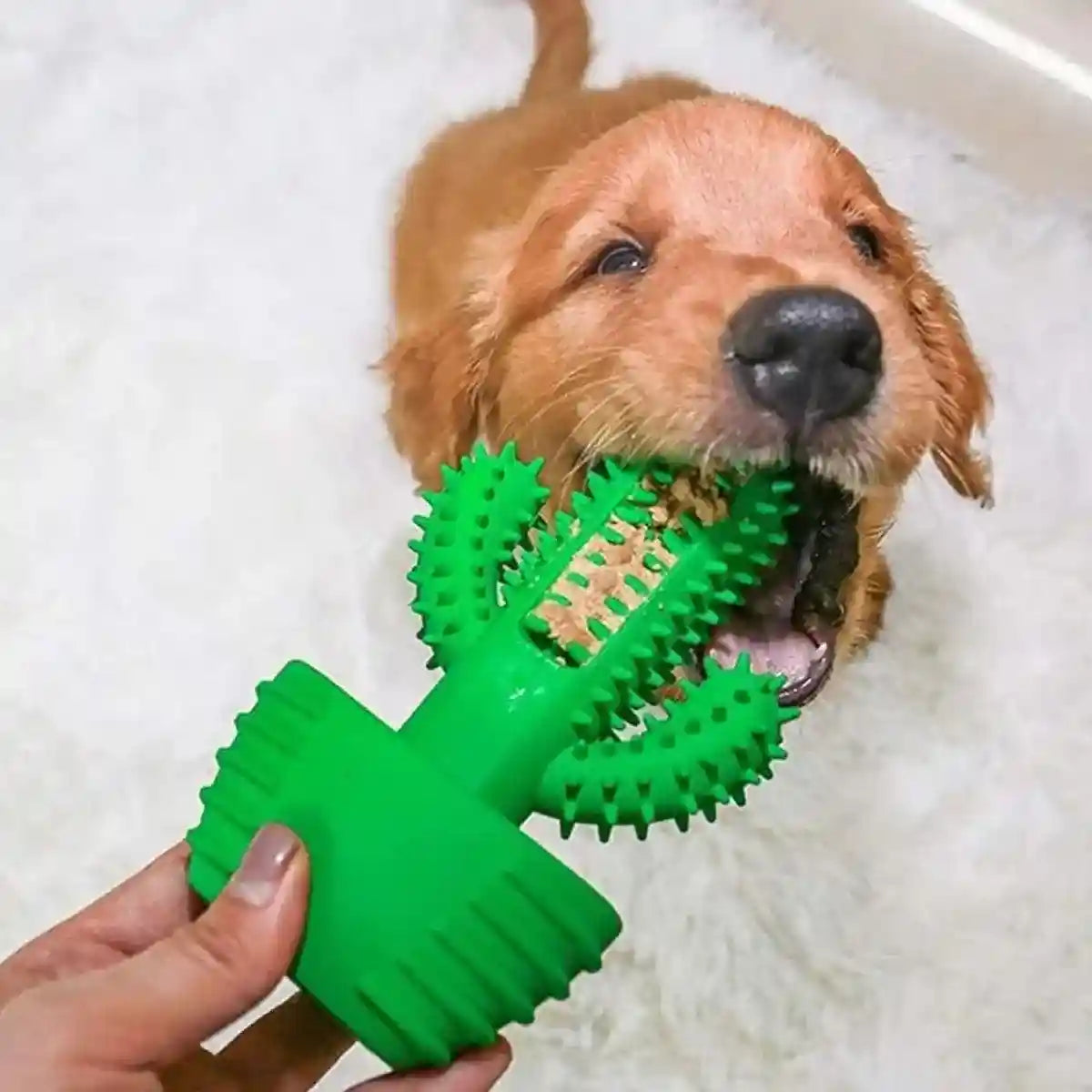 Cactus Shape Dog Chew Toy for Teeth Cleaning and Anxiety Relief